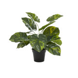 19.05'' Faux Lime Plant in Metal Pot