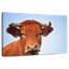 Crowle Young Bull
