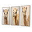Minimalisme beige chameau-549239088-549239102