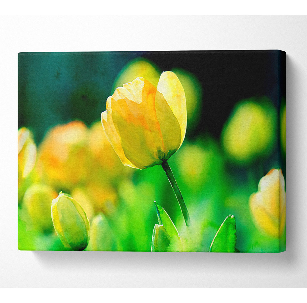 Gelbe Tulpe Sonnenlicht - Kunstdrucke auf Leinwand