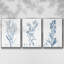 Ensemble de 3 pièces botaniques antiques en bleu I sur toile tendue-97759529-97759525
