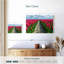 Tulipes Harnek-108732966