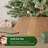Rattan Tree Collar-137651707