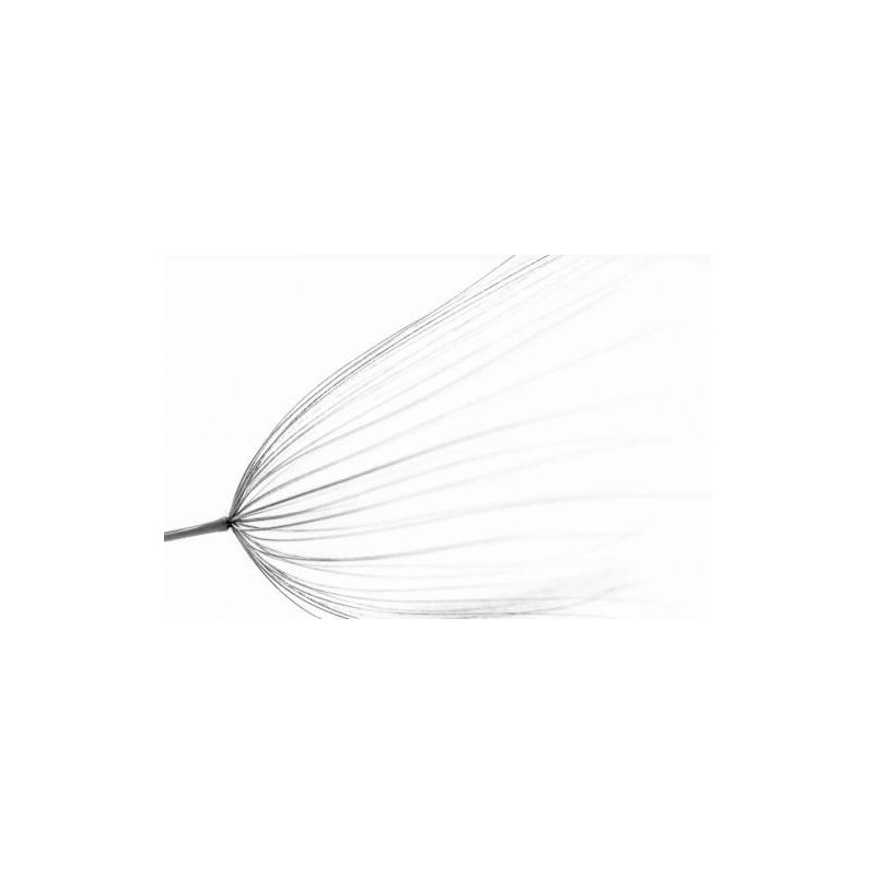 Wrapped Canvas Print, 50.8cm H x 76.2cm W