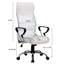 Mantorville Executive Chair-32316823