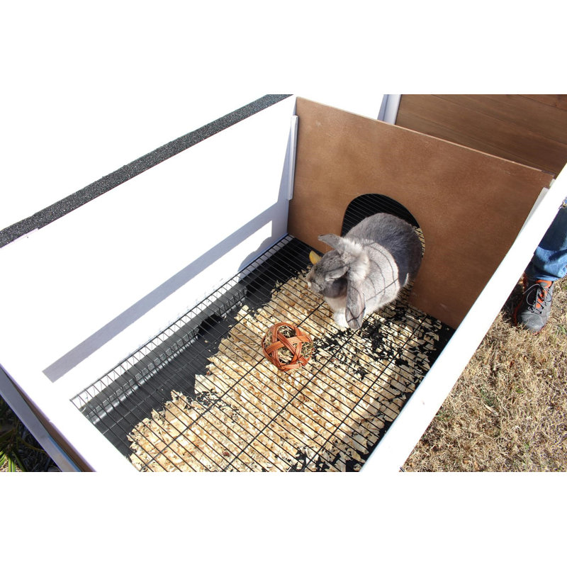 Zylina White and Natural Wood Rabbit Hutch with Mesh Door