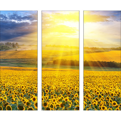 3 Piece No Frame Painting on Glass