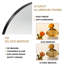 Miroir Kolodny-1454093350-1454093348