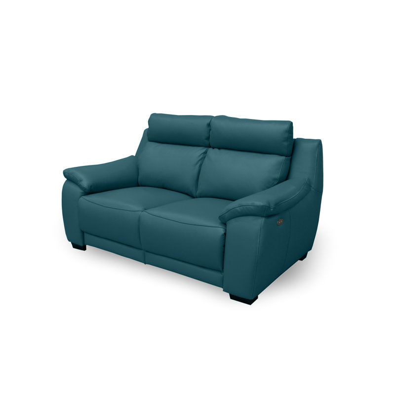 Layahna 66.5 in. Genuine Leather Pillow Top Arm Reclining Sofa, Blue