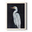 Kalamunda Calm Great Egret I, reproduction d'art sur toile-88378693-88378694