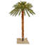 6' H Lighted Artificial Tropical Christmas Tree