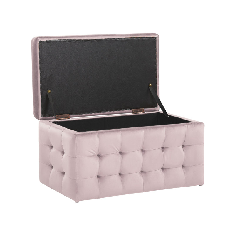 Francina 72cm Wide Velvet Tufted Rectangle Ottoman with Storage, Pink