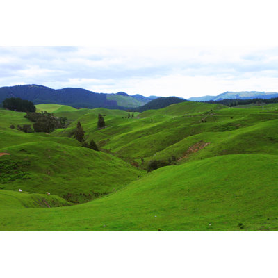 " Green Pastures " by Haveseen