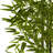 Bamboo Tree with UV Resistant Leaves-15284382
