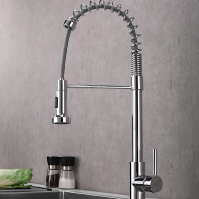 Belfry Kitchen Fresnel Pull Down Kitchen Faucet