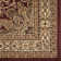 Anoush Oriental Indoor Rug