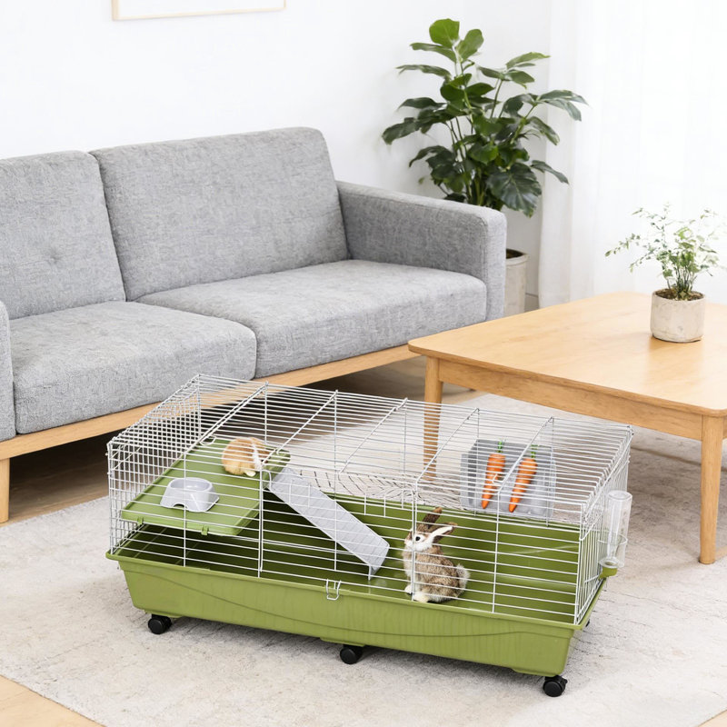 Cages et abris pour animaux modernes en acier vert moderne