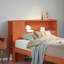 Ralena Headboard