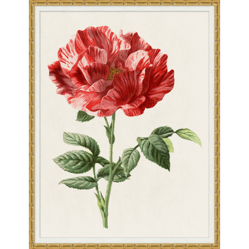 Ruby Floral 2 Print