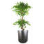 Coya Planters Handmade Pot Planter-110913202