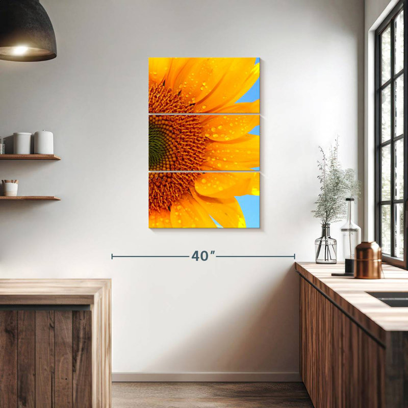 Tournesol Harnek, H 38 po x l 24 po