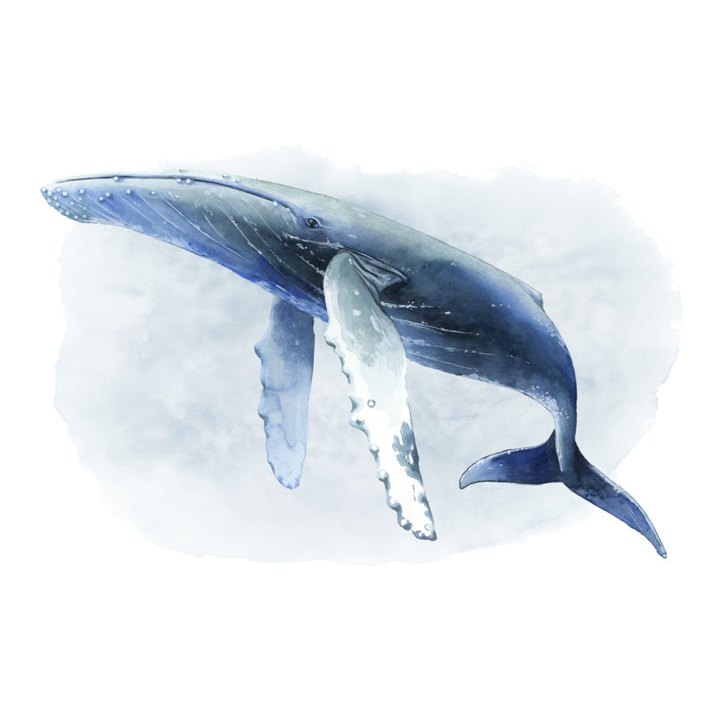 Humpback II by Grace Popp - Painting on Canvas, 81 cm H x 122 cm W, Black Floater Framed