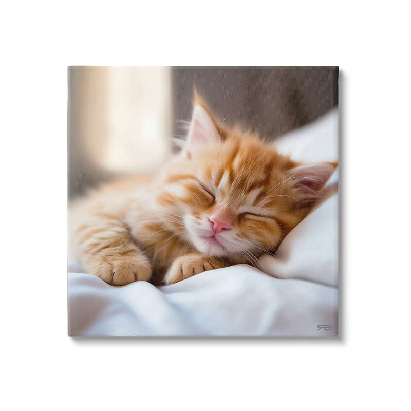 «Sleeping Orange Kitten», art mural par RB, H 30 po x l 30 po