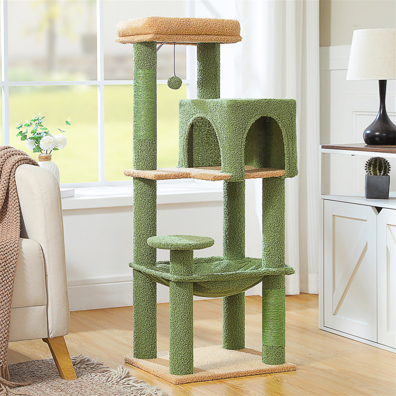 Arbre à chat, Vert