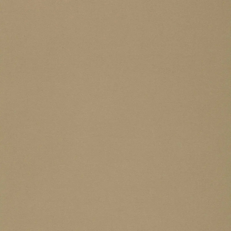 Nassau Brushed Cotton Fabric