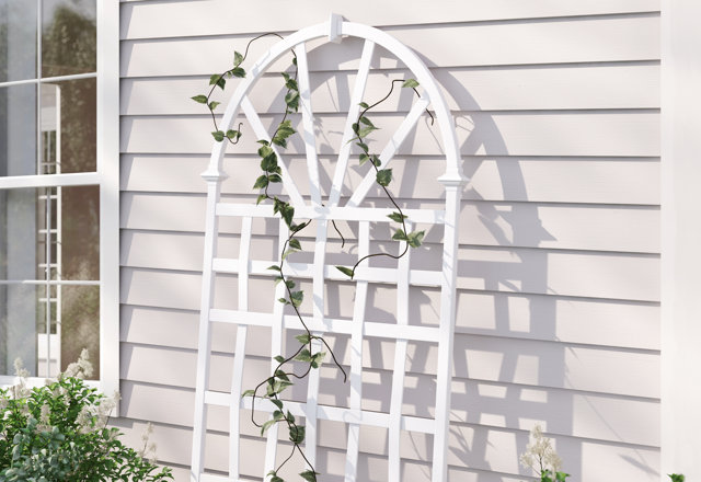 Our Favorite Trellises