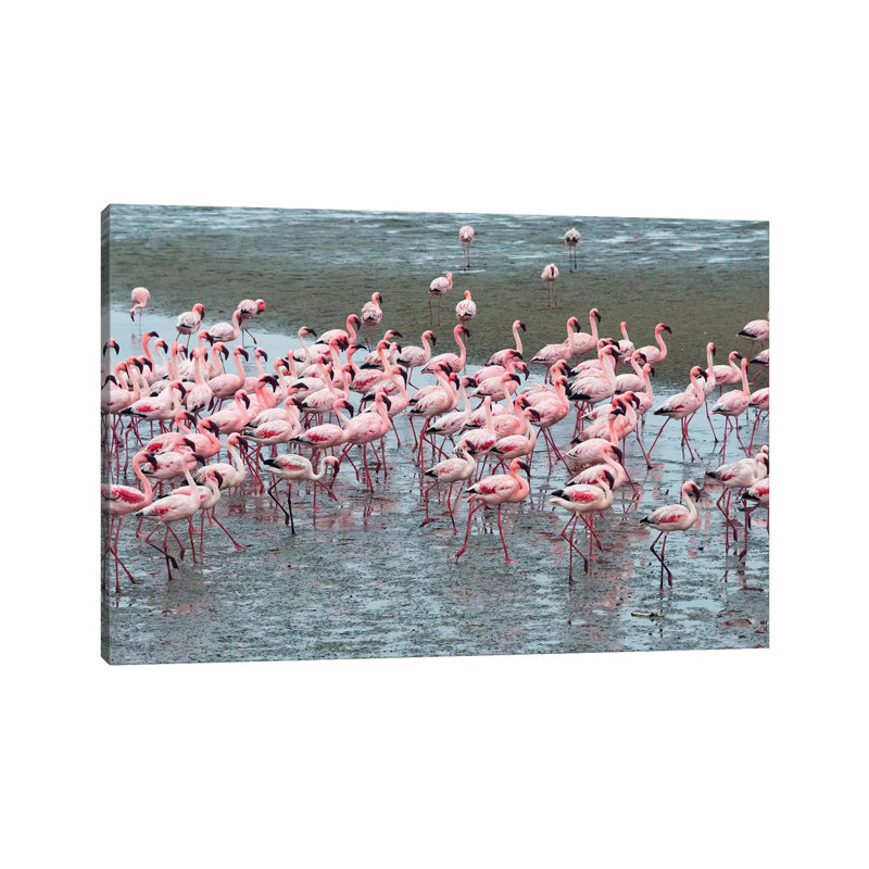 Flamingos, Walvis Bay, Erongo Region, Namibia by Keren Su - Wrapped Canvas Gallery-Wrapped Canvas Giclée