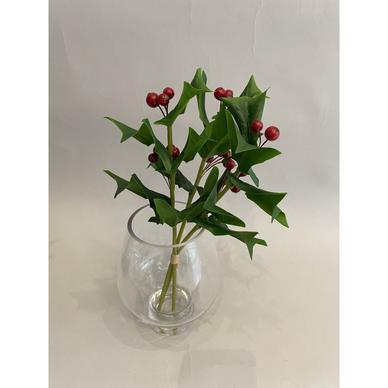 HOLLY SPRAY S.