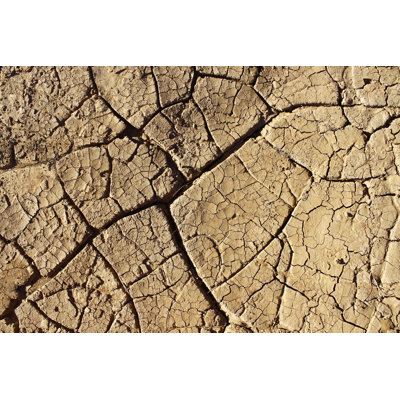 Cracked Dry Soil by Oonal