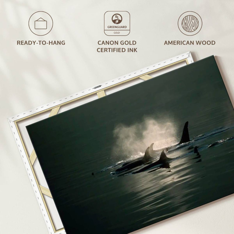Brampt Orca Whale Pod, 34" H x 51" W