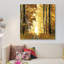«Sunlit Forest I», impression sur toile-20893413-73160009-73160010