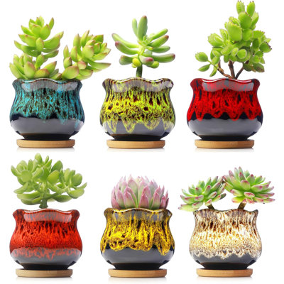 Set Of 6 Ceramic Succulent Planters With Drainage & Saucers
