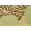Distressed Homage Animal Print Area Rug-477228537