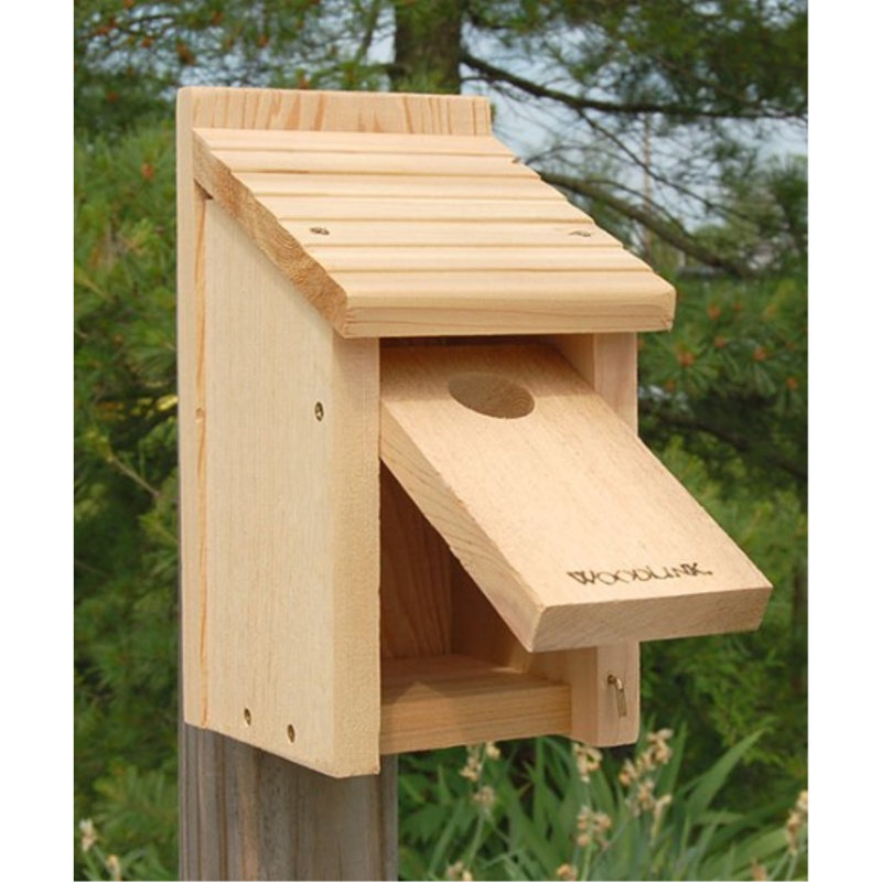 Wood Birding Essentials