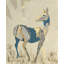 Deer I Print by Milton Coppo-26704620-26704621