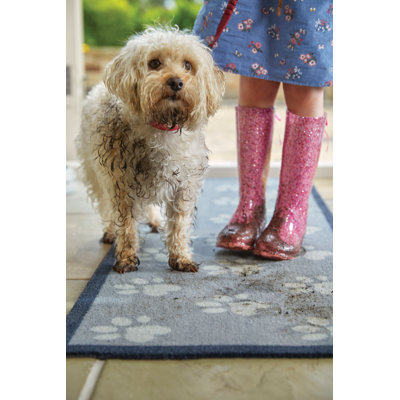 Big Paw Non-Slip Indoor Door Mat