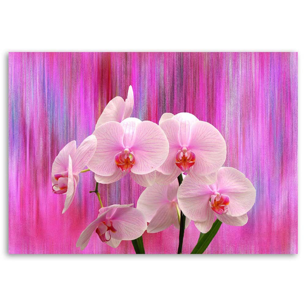 Leinwandbild Orchideen in lila und rosa