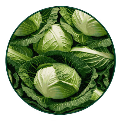  Washable Cabbage Green Vegetables Area Rug