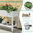Alphonsa 43.3''W x 34.1''H ft Resin Raised Garden Bed-2002793179