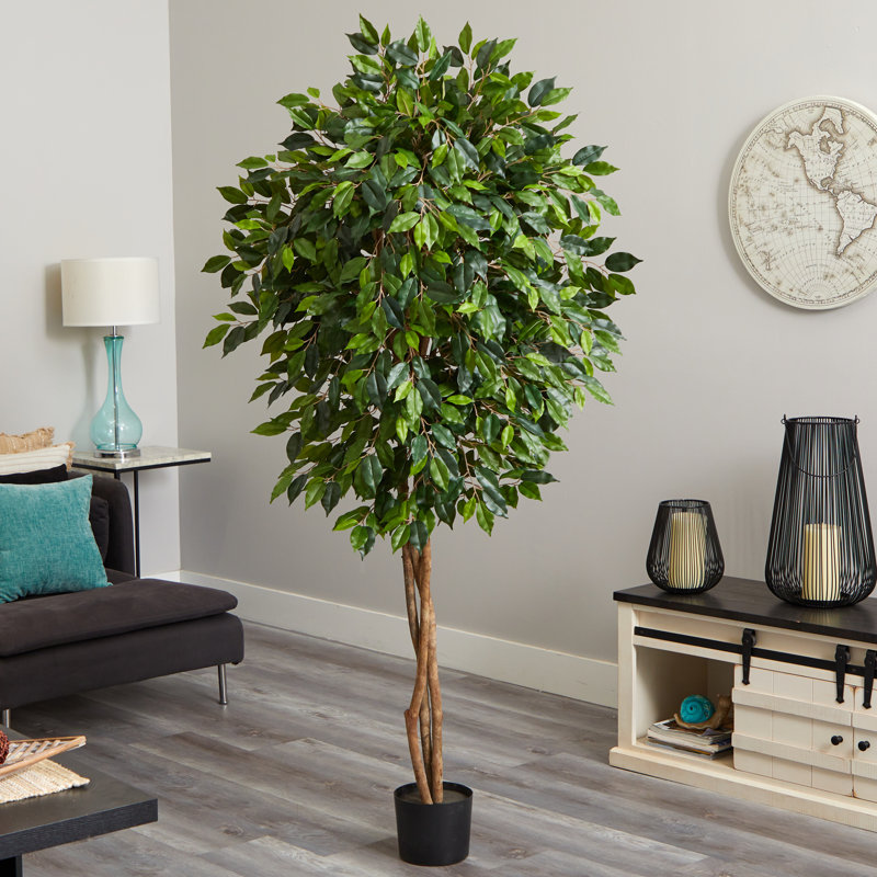 Arbre de ficus artificiel en pot de fleurs, H 78 po x l 12 po x P 12 po