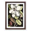 A Laurel Magnolia Tree by Mark Catesby - Picture Frame Painting Print-55629778-55629779