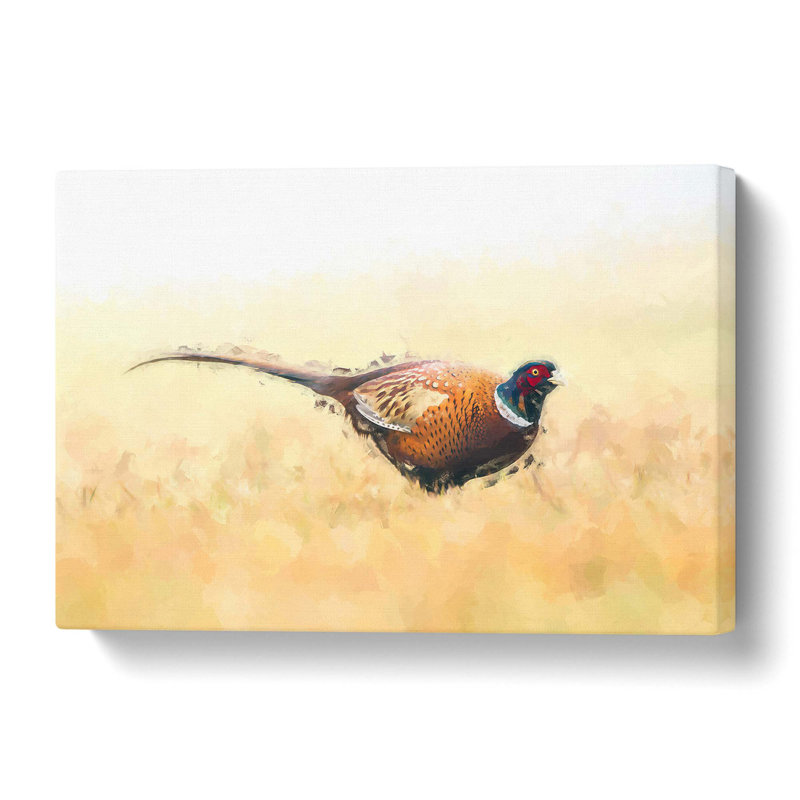 A Pheasant Bird - Wrapped Canvas, 40.6 cm H x 61 cm W
