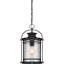 Mini-luminaire suspendu noir mystique 1 lumière Carshalton
