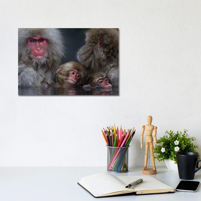 Snow Monkey Familiy In Hotspring by Mogens Trolle - Wrapped Canvas Print, 20.32 cm H x 30.48 cm W