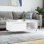 Micki Coffee Table with Storage-1477326417