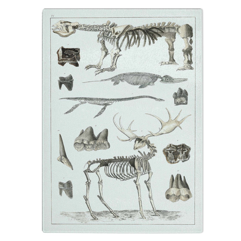 Tempered Glass Animal Bones IV Chopping Board, 28.5 cm W x 39 cm L